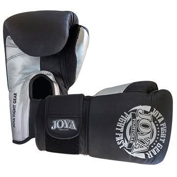 Limited Edition Pro boksehandske Fight Fast Sølv læder